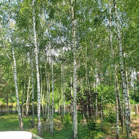 Letniskowy Villa *