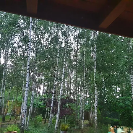 Letniskowy فيلة